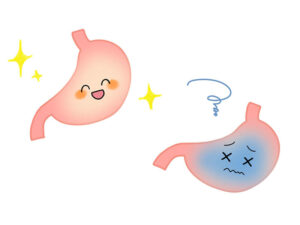 胃腸の働きを促進する